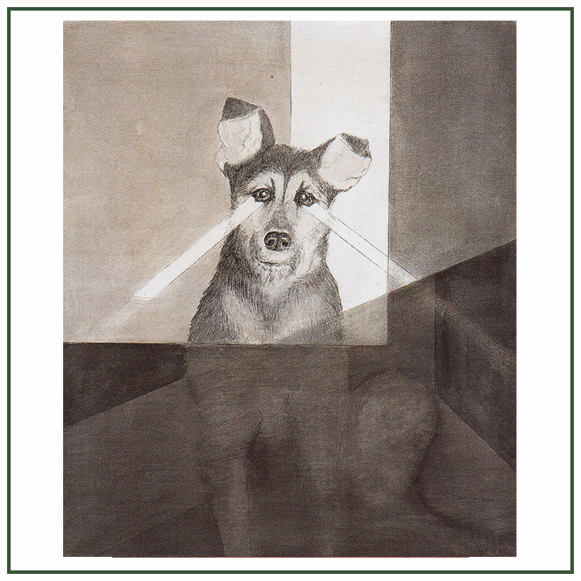 Perro